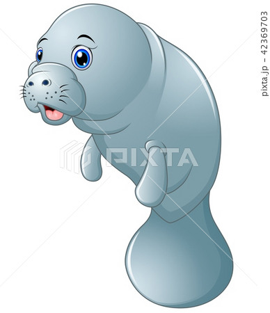 Cute cartoon manatee on white background 42369703