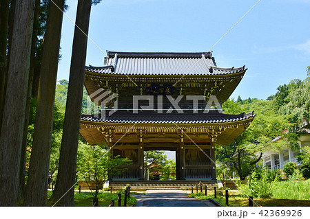 林泉寺　山門 42369926