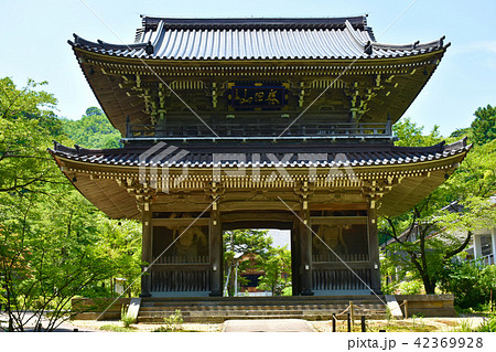 林泉寺　山門 42369928