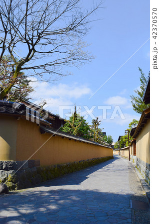 長町武家屋敷跡　土塀　金沢 42370570