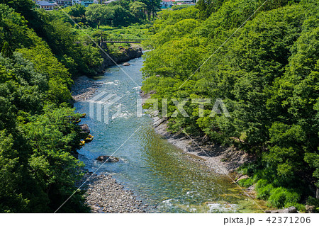 真夏の利根川 真夏の利根川 42371206