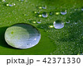 水滴2018その１ 42371330