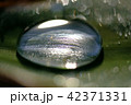 水滴2018その２ 42371331