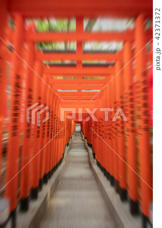 日枝神社 42371372