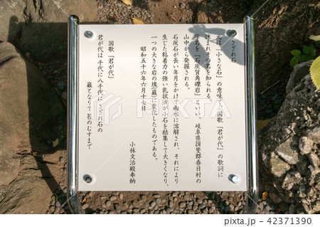 日枝神社 42371390