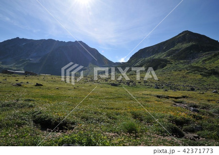 室堂平から見た立山連峰の雄山 室堂平から見た立山連峰の雄山 42371773