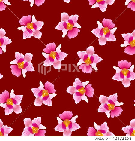 Pink Vanda Miss Joaquim Orchid on Red Background 42372152