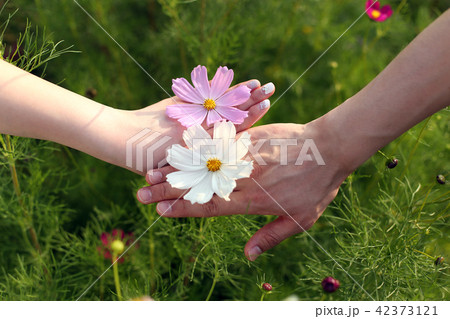 手 男女 デート 42373121