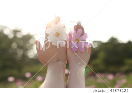 手 男女 デート 42373122