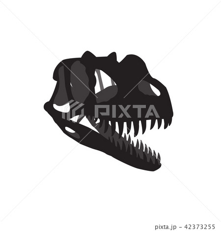 skull fossil Dinosaur 42373255