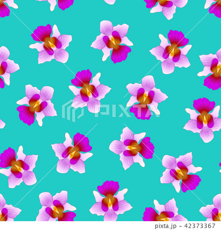 Purple Vanda Miss Joaquim Orchid Teal Background. Purple Vanda Miss Joaquim Orchid Teal Background. 42373367