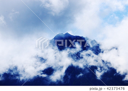 北アルプス太郎平からの山々　水晶岳（黒岳） 42373476