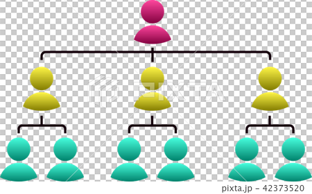 Organization table Multi Pyramid - Stock Illustration [42373520] - PIXTA
