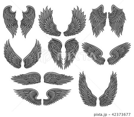 Vector set of different angel or bird wings with gray feathers and black contour. Old-school tattoo 42373677