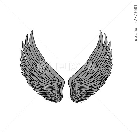 Beautiful heraldic wings with gray feathers of bird or angel. Tattoo artwork. Vector for vintage 42373681