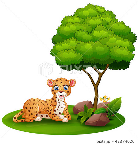 Cartoon leopard lay down under a tree 42374026
