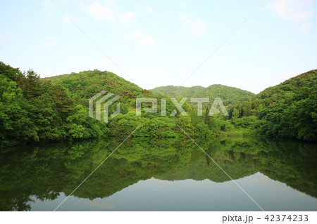 セリャンか 自然の風景 自然 42374233
