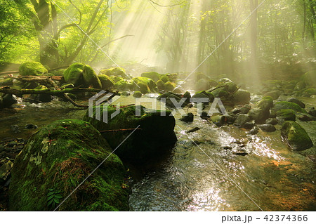 尚仁沢湧水 尚仁沢湧水 42374366