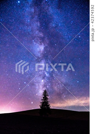 《北海道》美瑛・天の川とクリスマスツリーの木 42374592