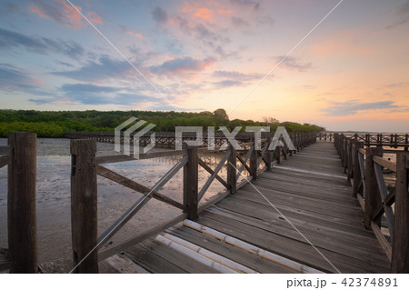 Aerial view of Bentar beach at sunset in East Java 42374891
