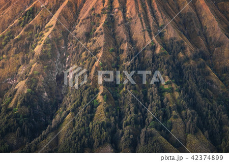 Bromo tengger semeru national park  42374899