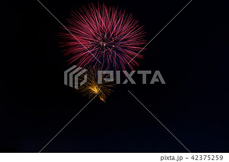 足立の打ち上げ花火 花火大会 足立の打ち上げ花火 花火大会 42375259
