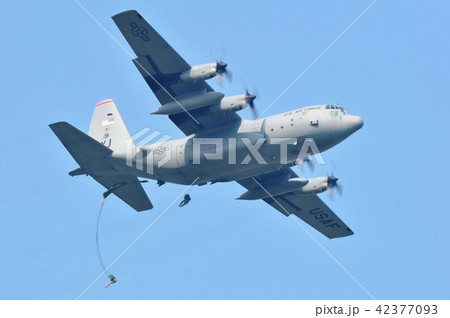パラシュート降下の訓練をしているアメリカ空軍のC-130輸送機 パラシュート降下の訓練をしているアメリカ空軍のC-130輸送機 42377093