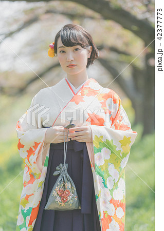 Sakura 42377773