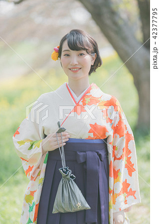 Sakura Sakura 42377795