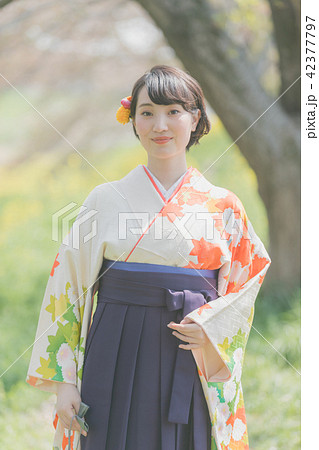 Sakura 42377797
