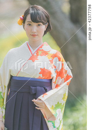 Sakura Sakura 42377798