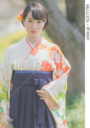 Sakura 42377799