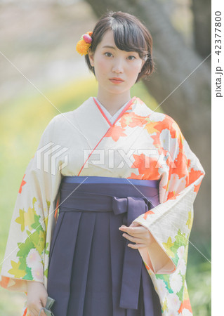 Sakura 42377800