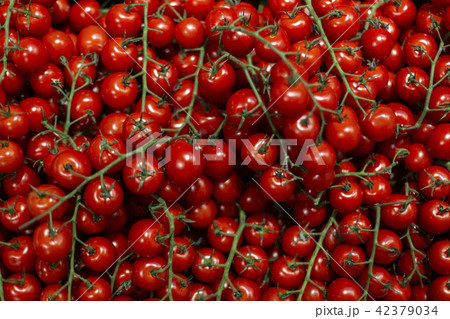 Cherry tomatoes background texture pattern Cherry tomatoes background texture pattern 42379034