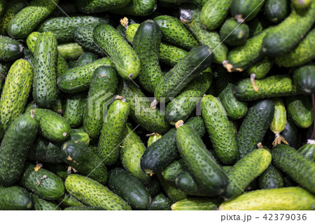 Cucumbers background texture Cucumbers background texture 42379036