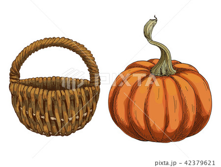 Vector illustration with pumpkin and wicker basket 42379621