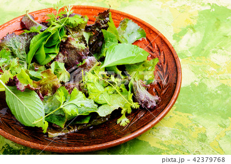 Healthy green salad Healthy green salad 42379768