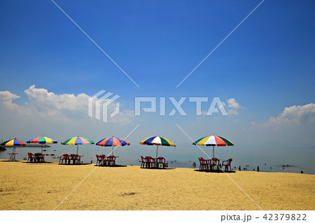 海水浴場 砂浜 ビーチ 42379822