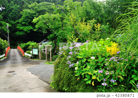 京・大坂道　千石橋 42380871
