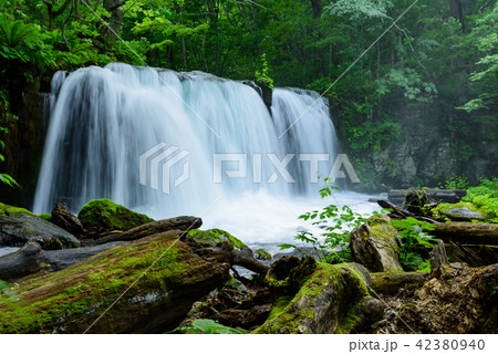 奥入瀬渓流 42380940