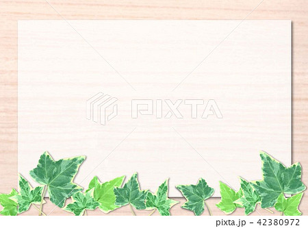 べニア板とヘデラ 42380972