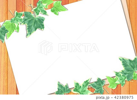 べニア板とヘデラ 42380975