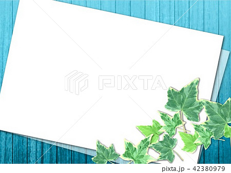 フローリン縦ストライプ水色フレームとヘデラ 42380979