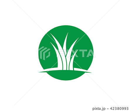 Vector green grass illustration 42380993