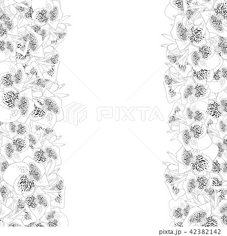 Canna lily Outline Border 42382142