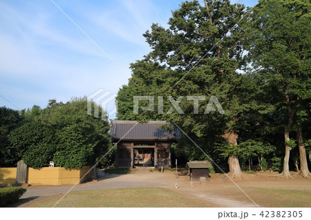 上総国分寺(市原市） 42382305