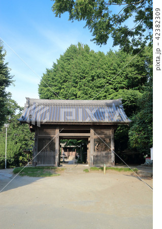 上総国分寺(市原市） 42382309
