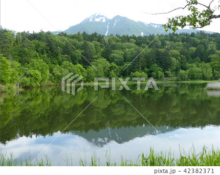 利尻島　姫沼 42382371