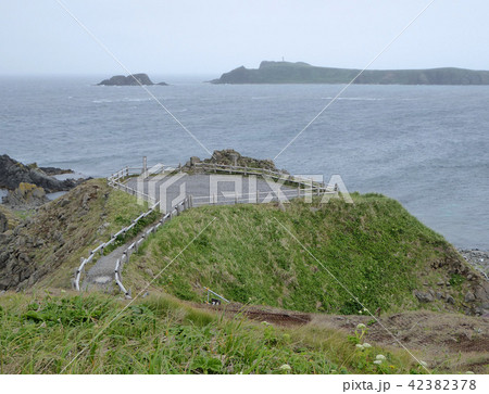 礼文島 スコトン岬 礼文島 スコトン岬 42382378