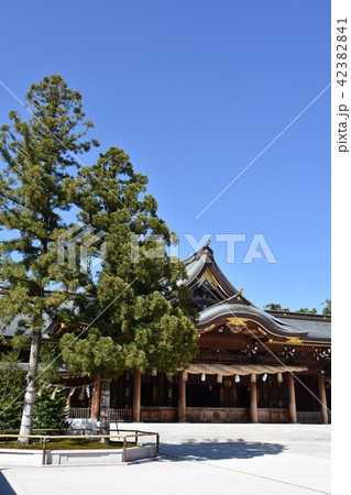 寒川神社 神奈川県寒川町 寒川神社 神奈川県寒川町 42382841